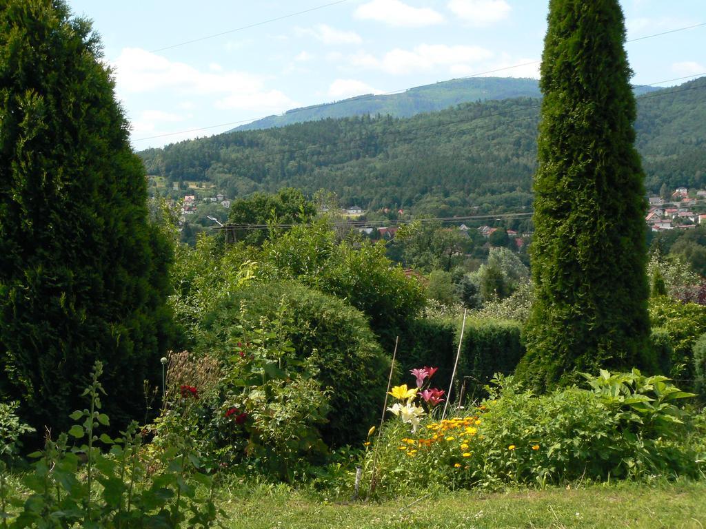 Apartment Noclegi W Ksiegarni