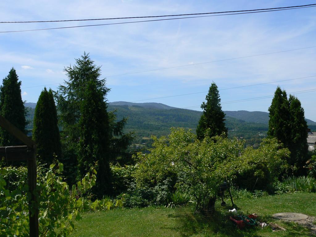 Noclegi W Ksiegarni Apartment Bielsko-Biala